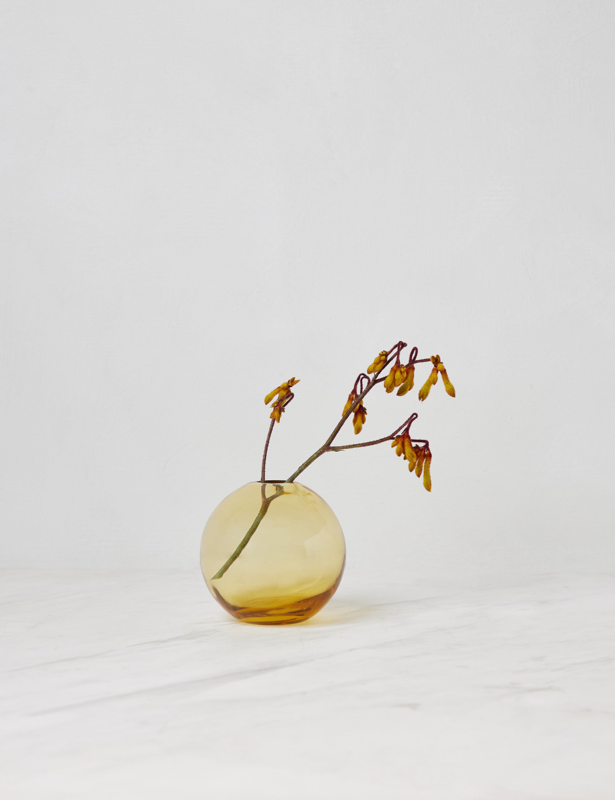 #color::amber #size::small